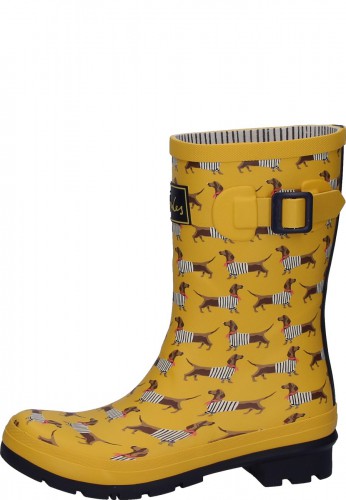 sausage dog wellies joules